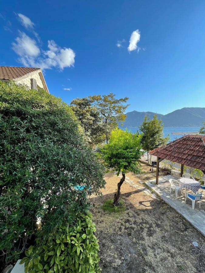 Lemon Tree Villa Kotor Zewnętrze zdjęcie