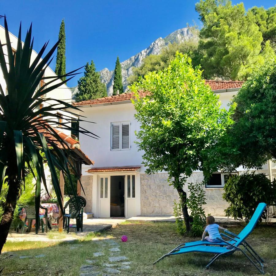 Lemon Tree Villa Kotor Zewnętrze zdjęcie