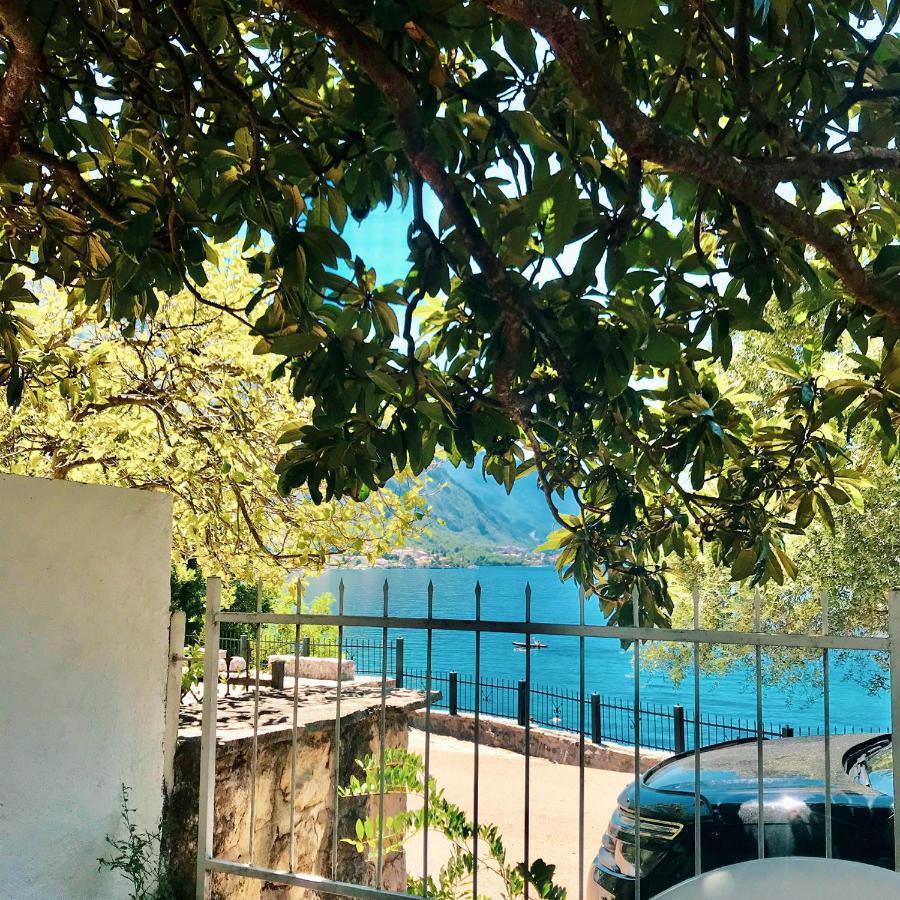 Lemon Tree Villa Kotor Zewnętrze zdjęcie