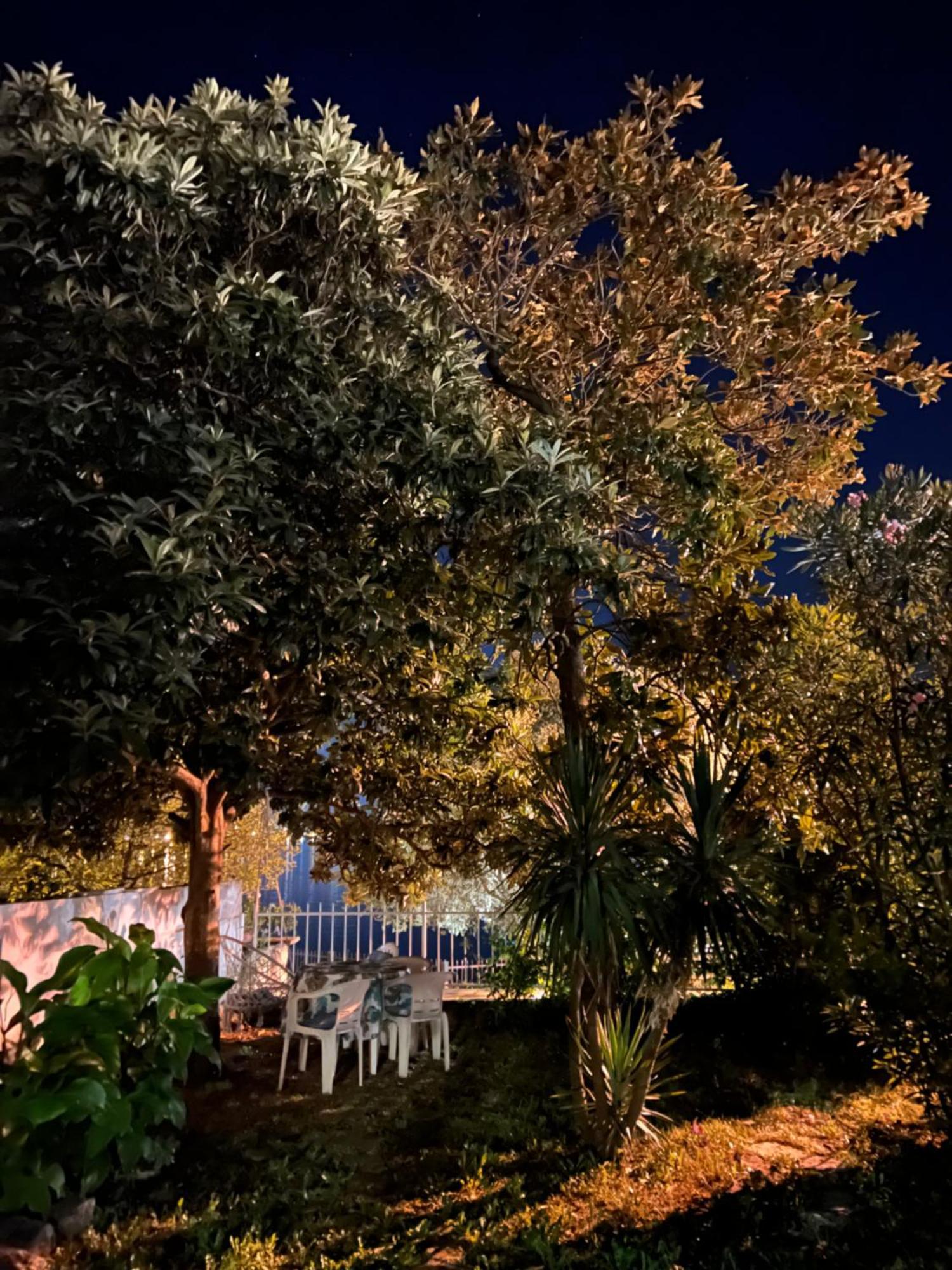 Lemon Tree Villa Kotor Zewnętrze zdjęcie