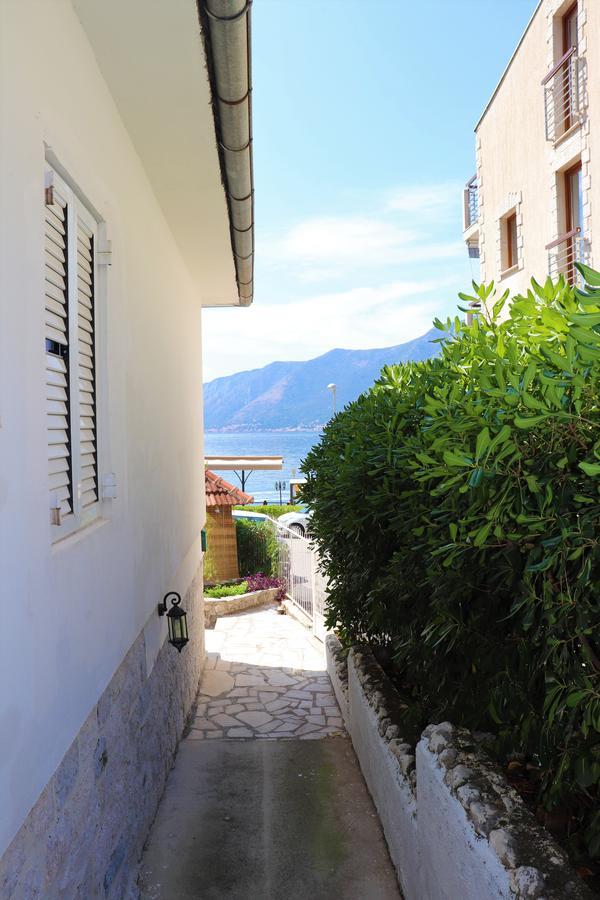 Lemon Tree Villa Kotor Zewnętrze zdjęcie