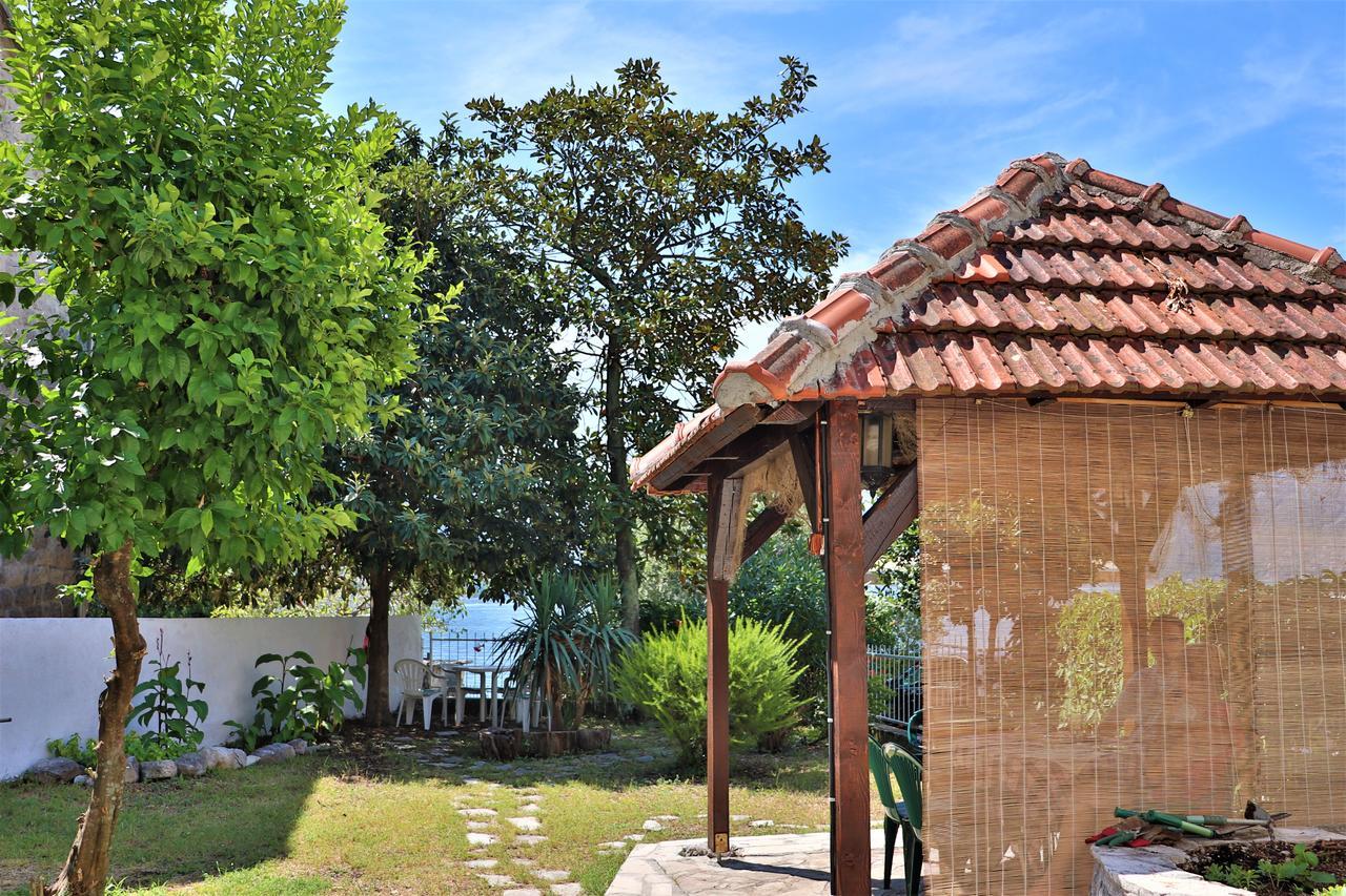 Lemon Tree Villa Kotor Zewnętrze zdjęcie