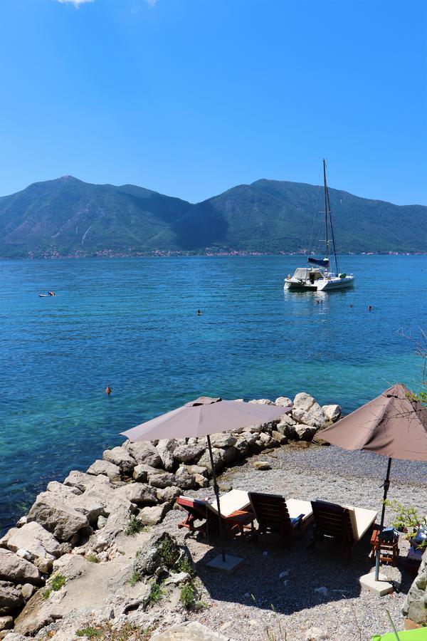 Lemon Tree Villa Kotor Zewnętrze zdjęcie