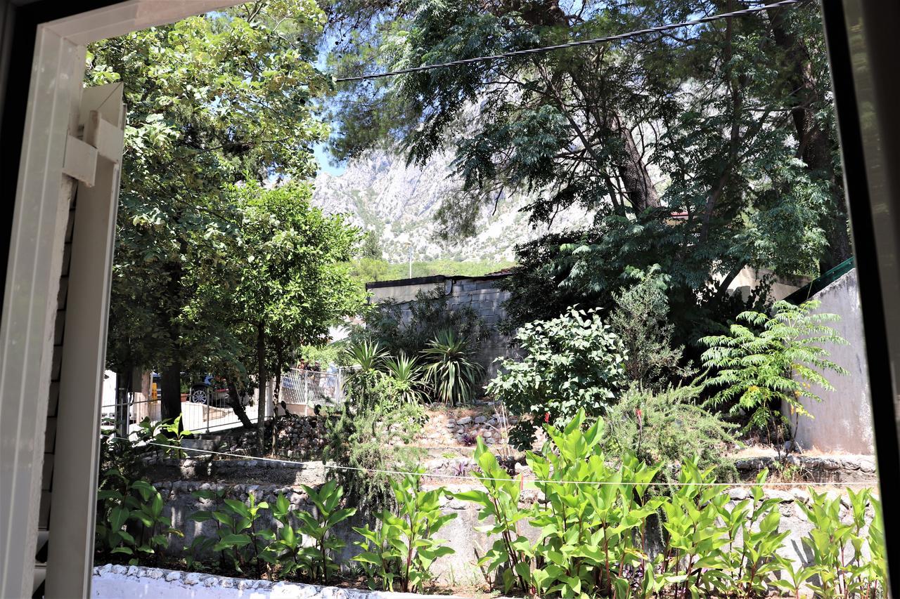 Lemon Tree Villa Kotor Zewnętrze zdjęcie